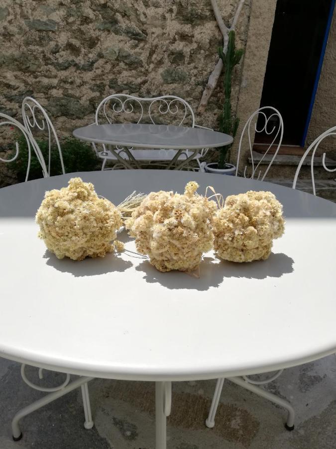 Parfumu Di Celu Hotell Santa-Lucia-di-Mercurio Eksteriør bilde