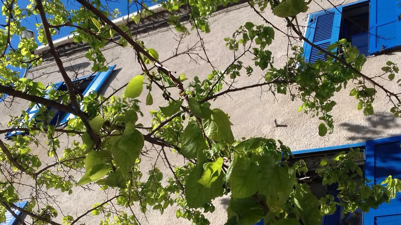Parfumu Di Celu Hotell Santa-Lucia-di-Mercurio Eksteriør bilde